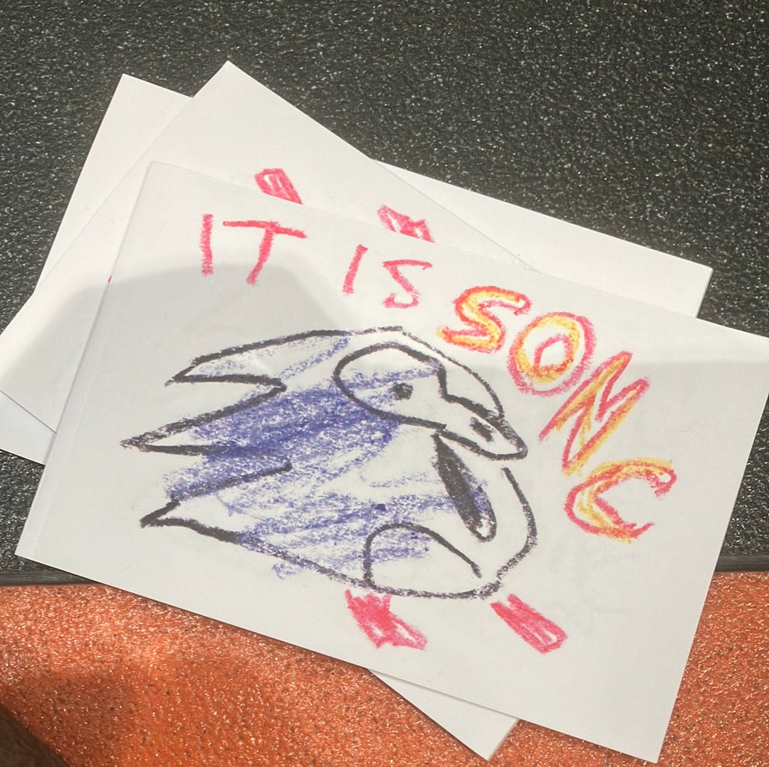 Zine - It Is Sonc by Natty Peterkin