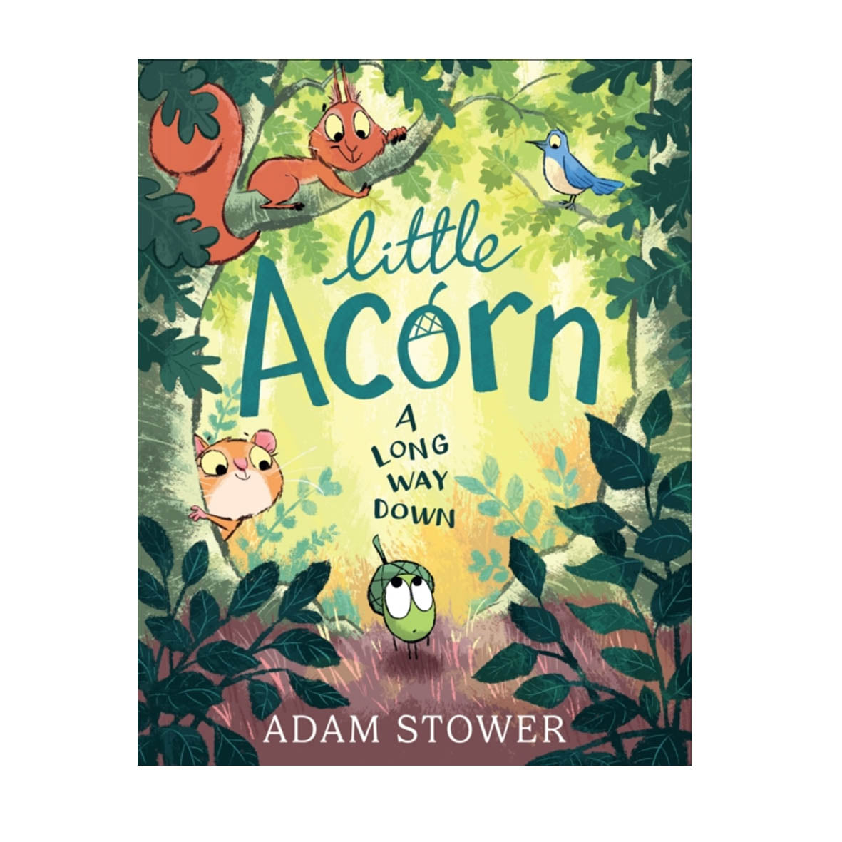Book - Little Acorn