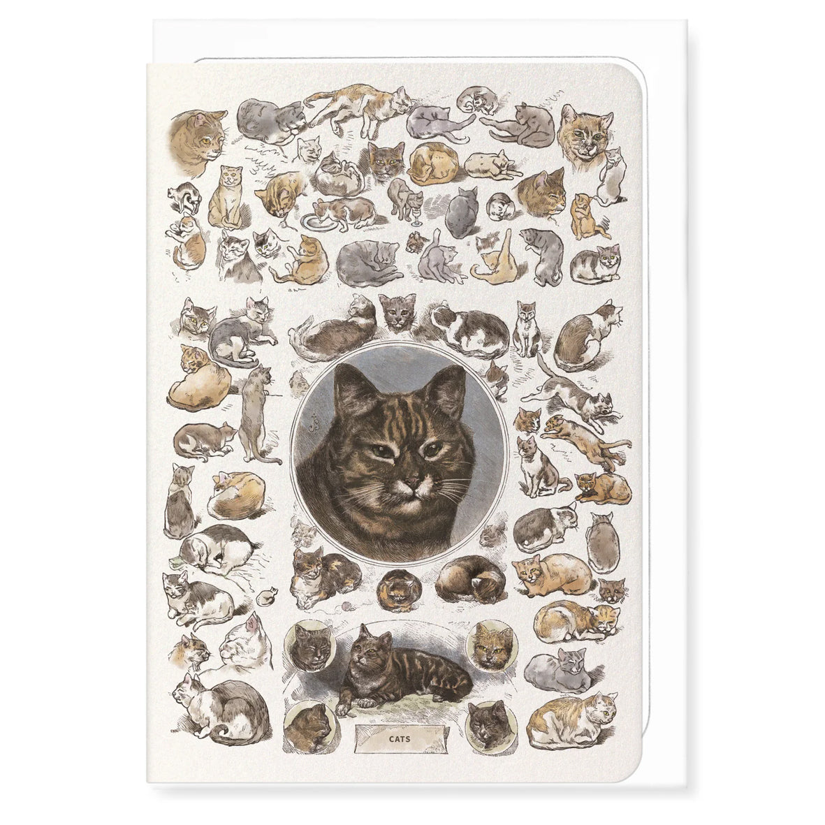 Card - GCA6-CLA635 Cats La Chasse Illustree
