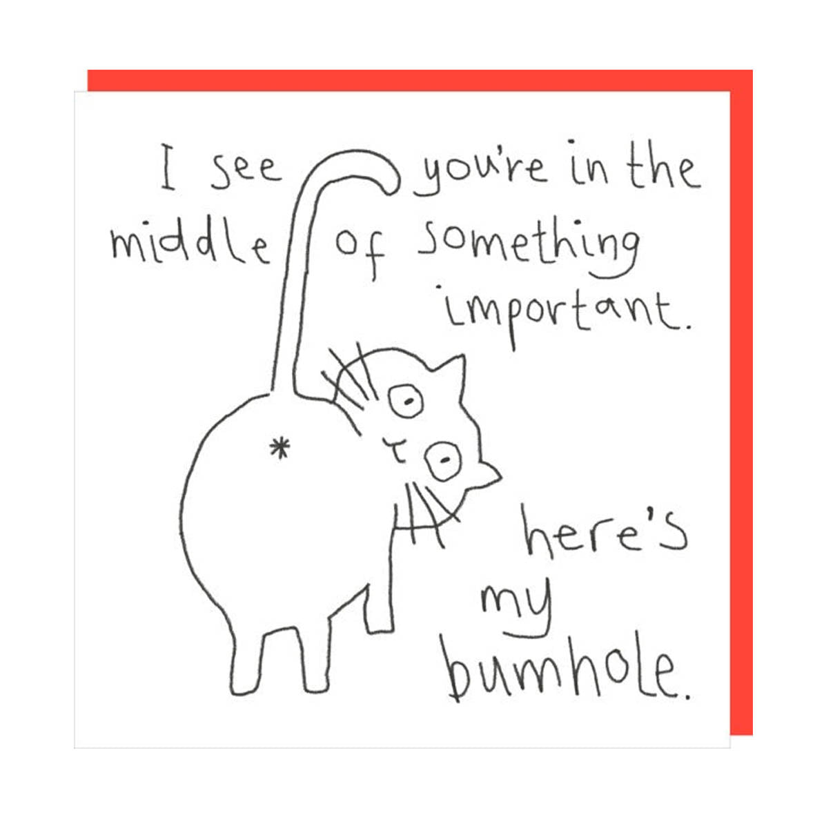 Card - SM033 Here's My Bumhole