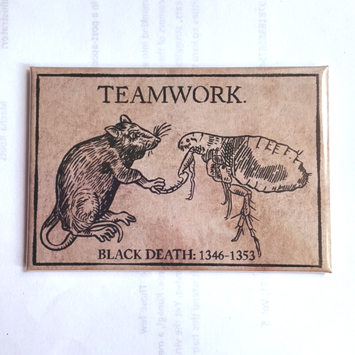 Magnet - CARM083MAG Teamwork Madeline Horwath