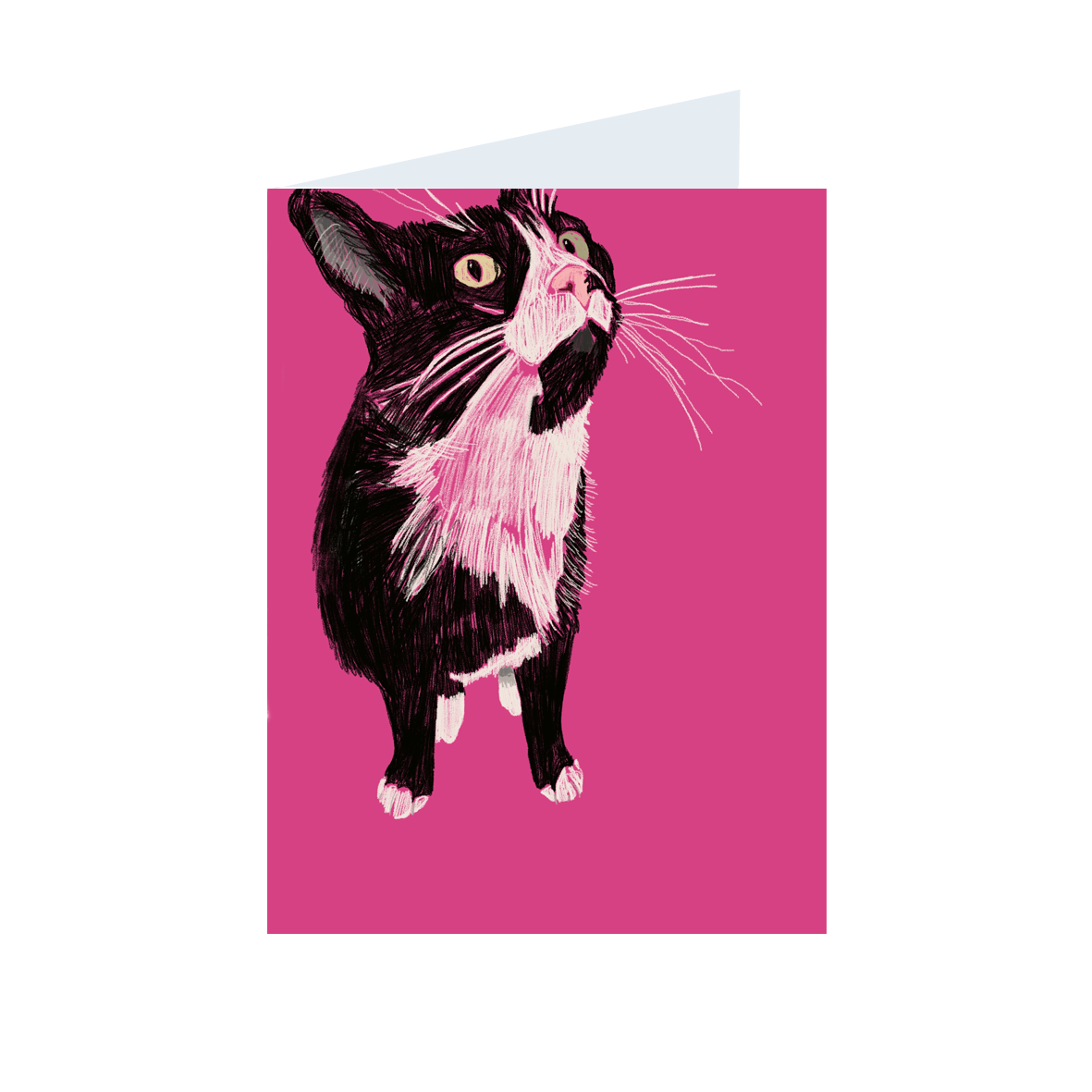 Card - Holly T Burrows Battersea Cats MAUI pink background