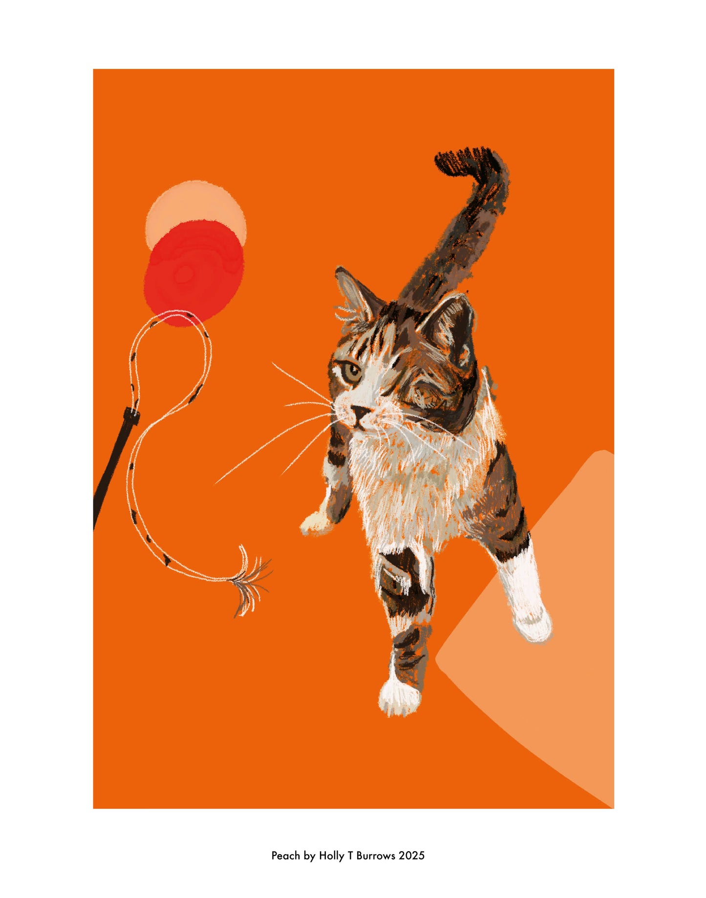 A colorful artistic print of a cat with one eye, reaching forward towards a red object, with orange and white abstract shapes in the background.