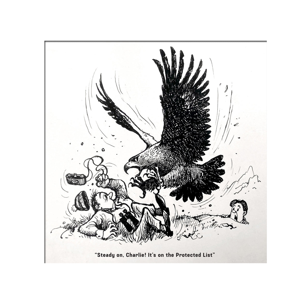 Postcard - Steady on Charlie! It's on the Protected List