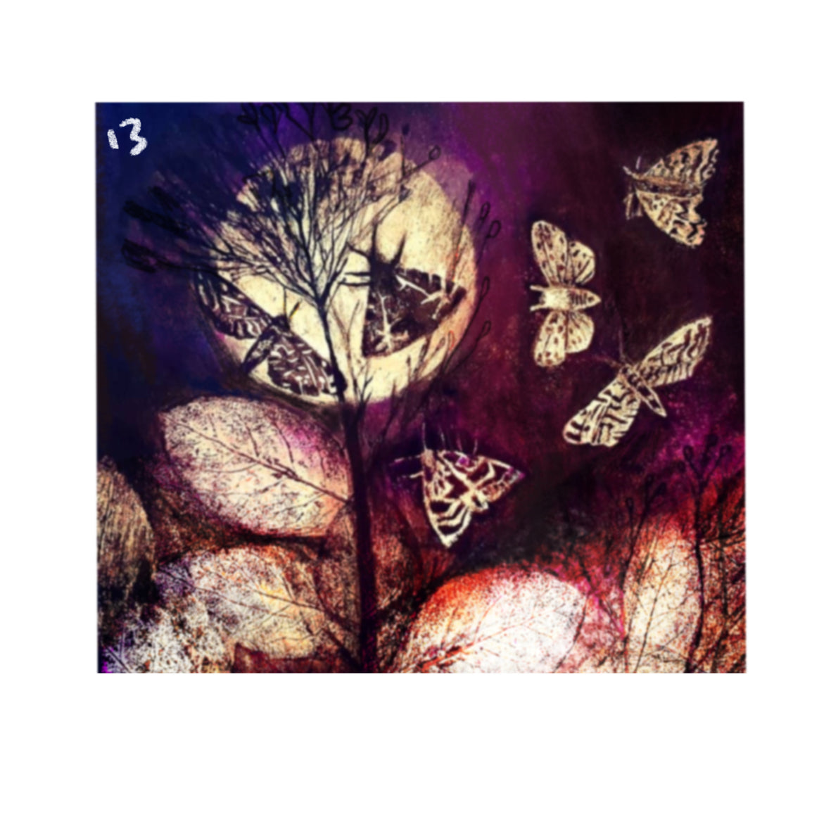 Card - Metamorphosis