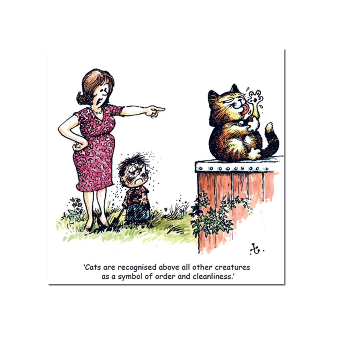 Card - THELCATGC001 Cat Cleanliness