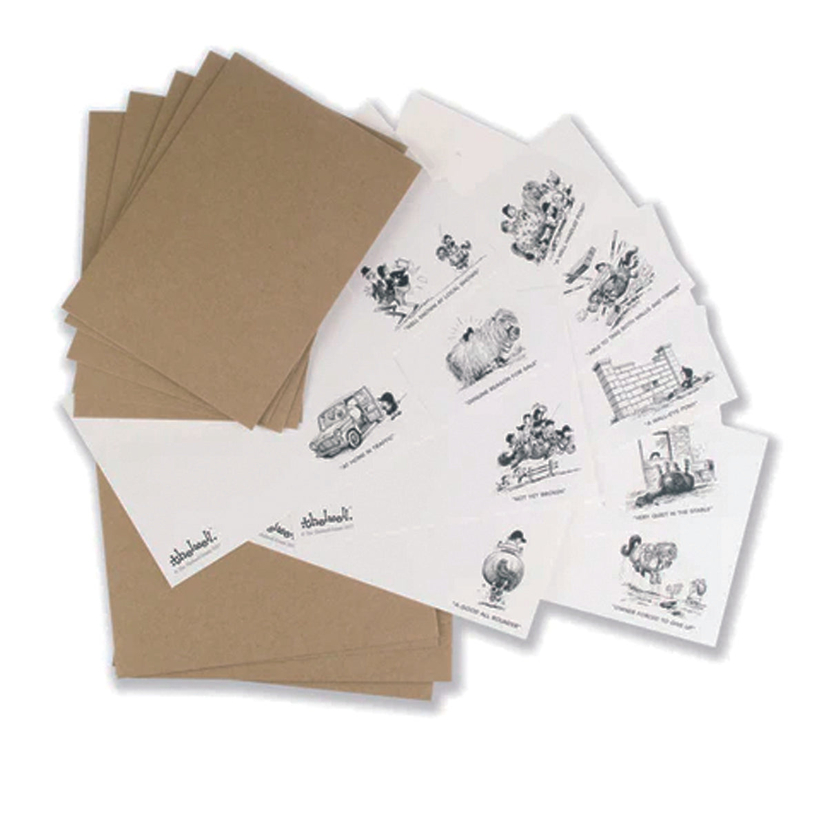 Notecards - THELPONYCORR01