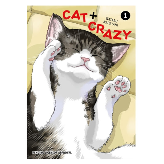 Book - Cat + Crazy