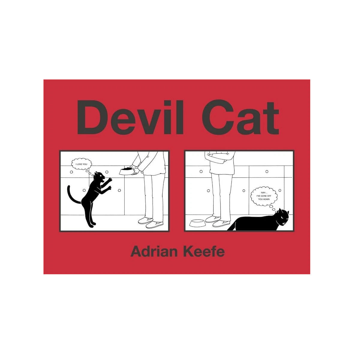 Book - Devil Cat
