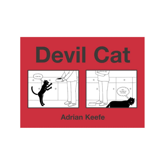 Book - Devil Cat