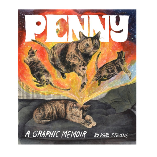 Book - Penny A Graphic Memoir