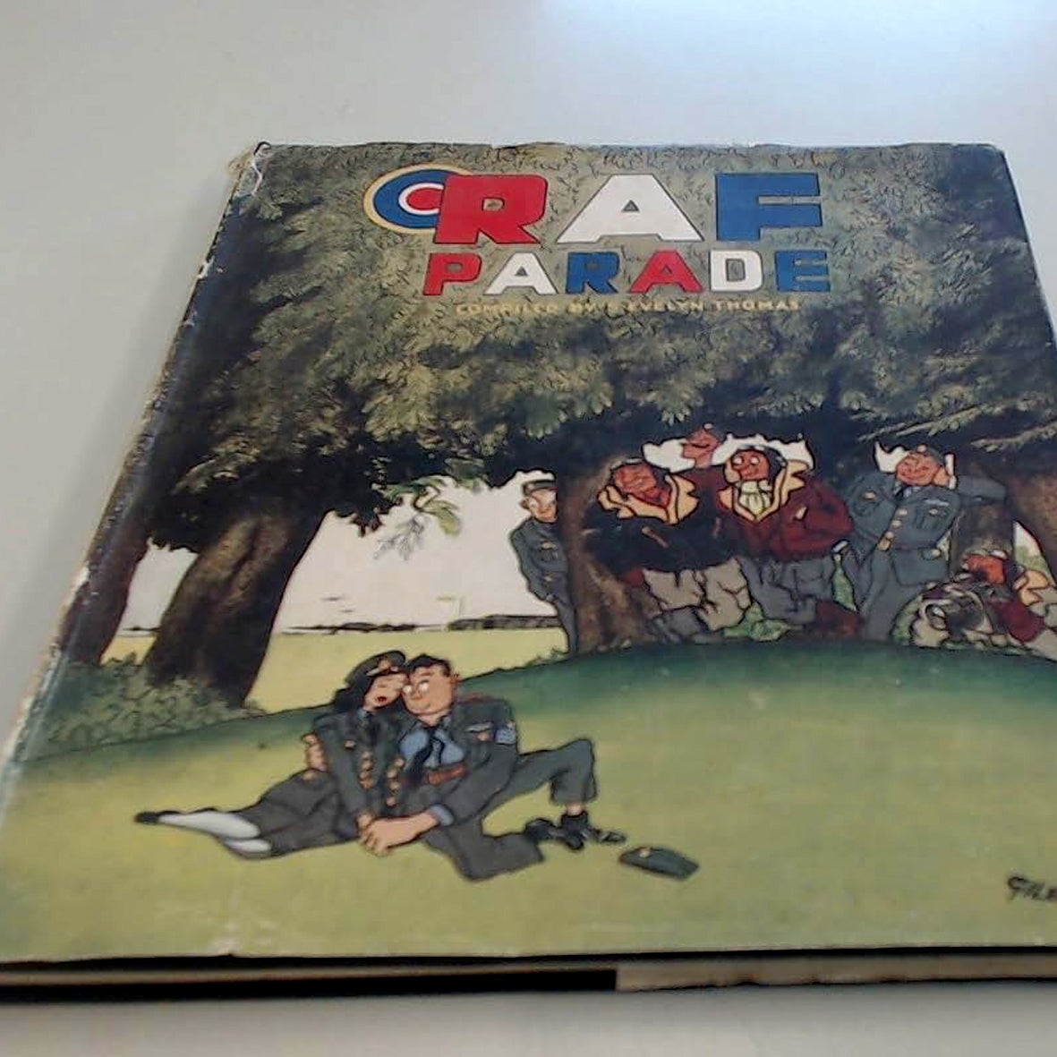 Book - RAF Parade (second hand)