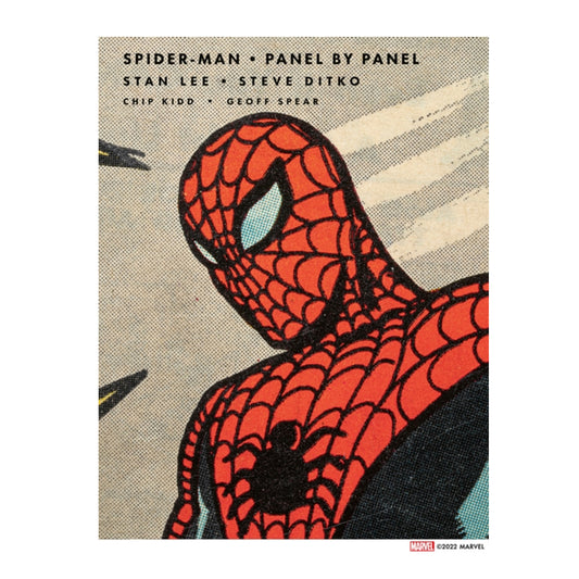 Book - Spider-Man Panel by Panel