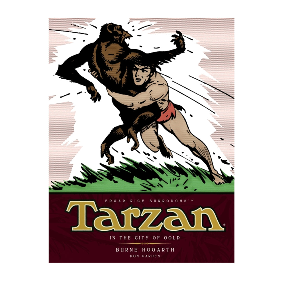 Book - Tarzan in the City of Gold