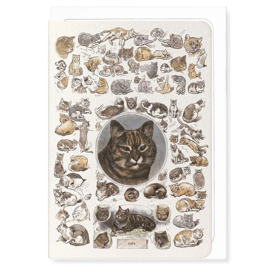Card - GCA6-CLA635 Cats La Chasse Illustree