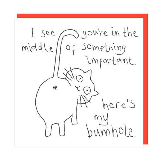 Card - SM033 Here's My Bumhole