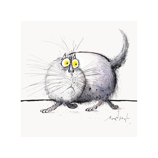 Card - CCRS5294 Vegetarian cat regarding a plate of fried eggs