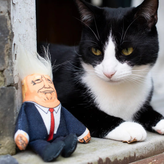 Cat Toy - Donald Trump