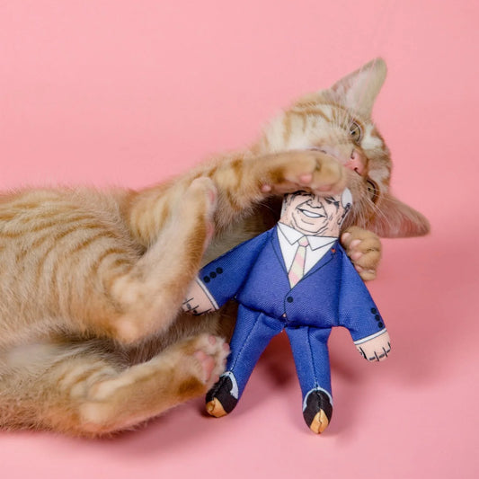 Cat Toy - Joe Biden
