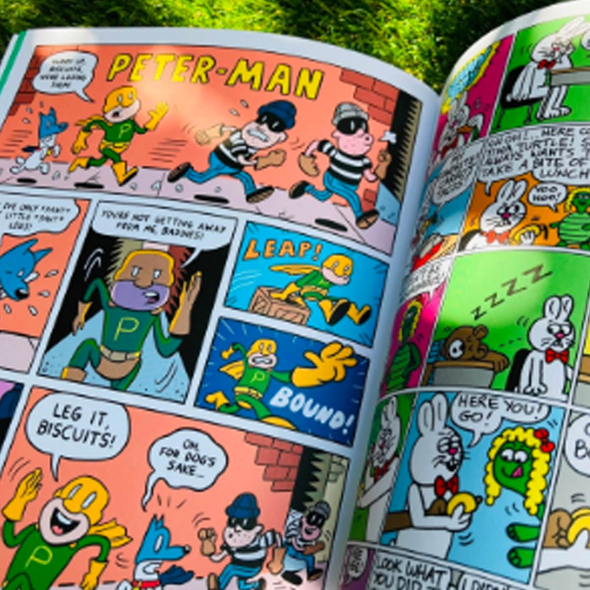 Comic - Goof issue 3