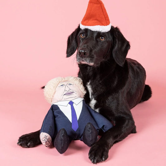 Dog Toy - Donald Trump