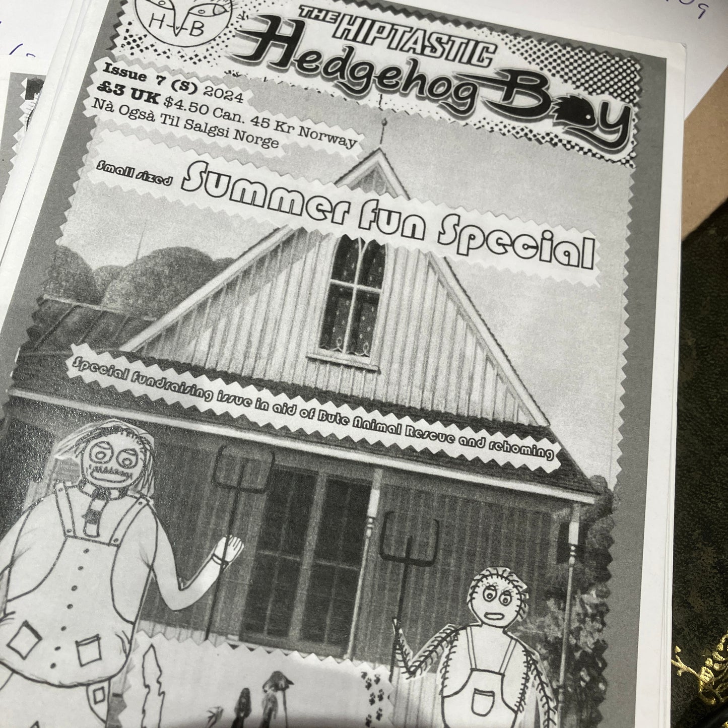 Comic - Hedgehog Boy all issues