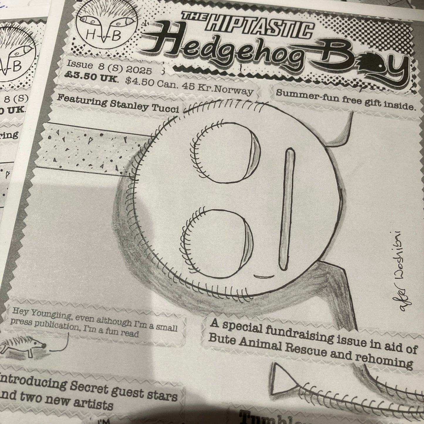 Comic - Hedgehog Boy all issues