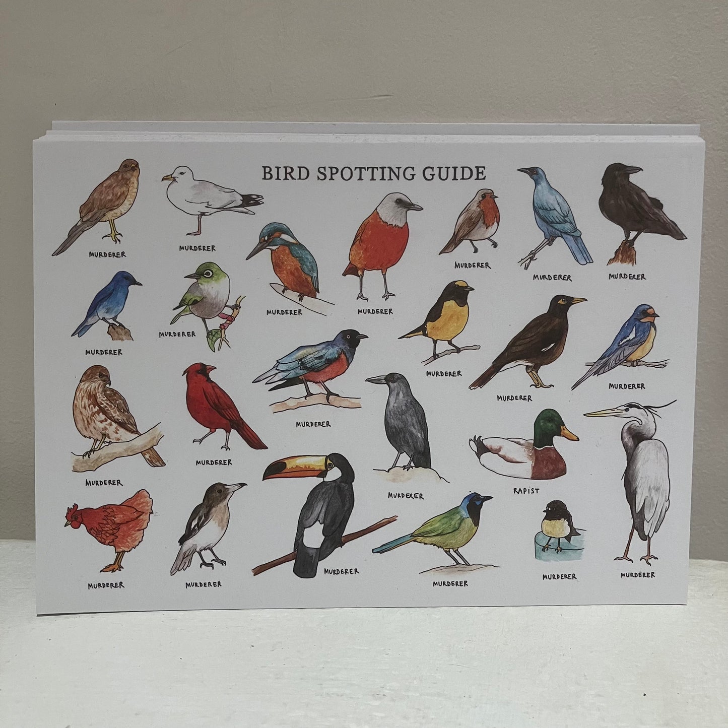 Postcard - Bird Spotting Guide