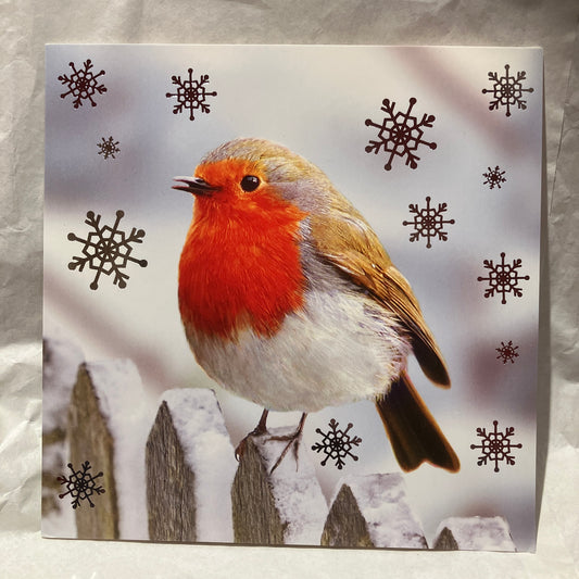 Card - XAMGC801 Robin