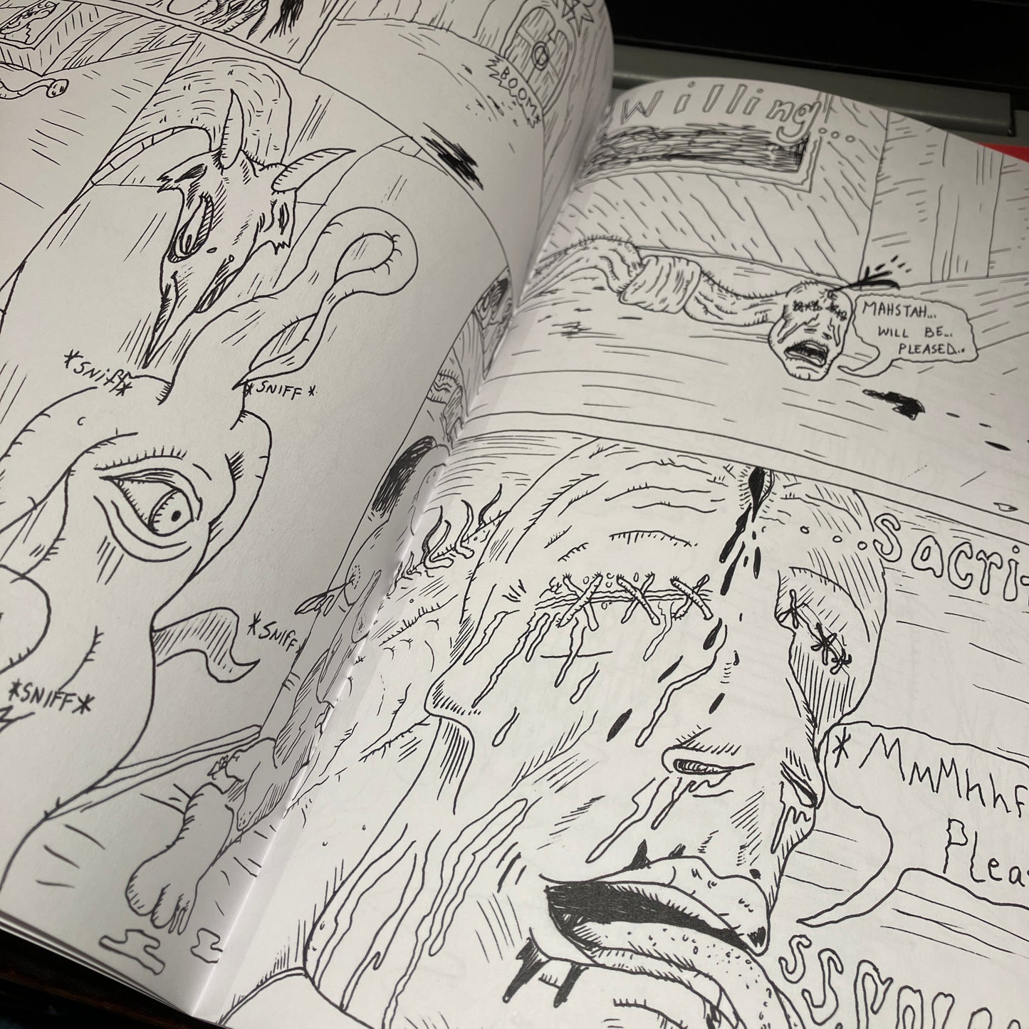 Open book with black and white illustrations of a face and animals.