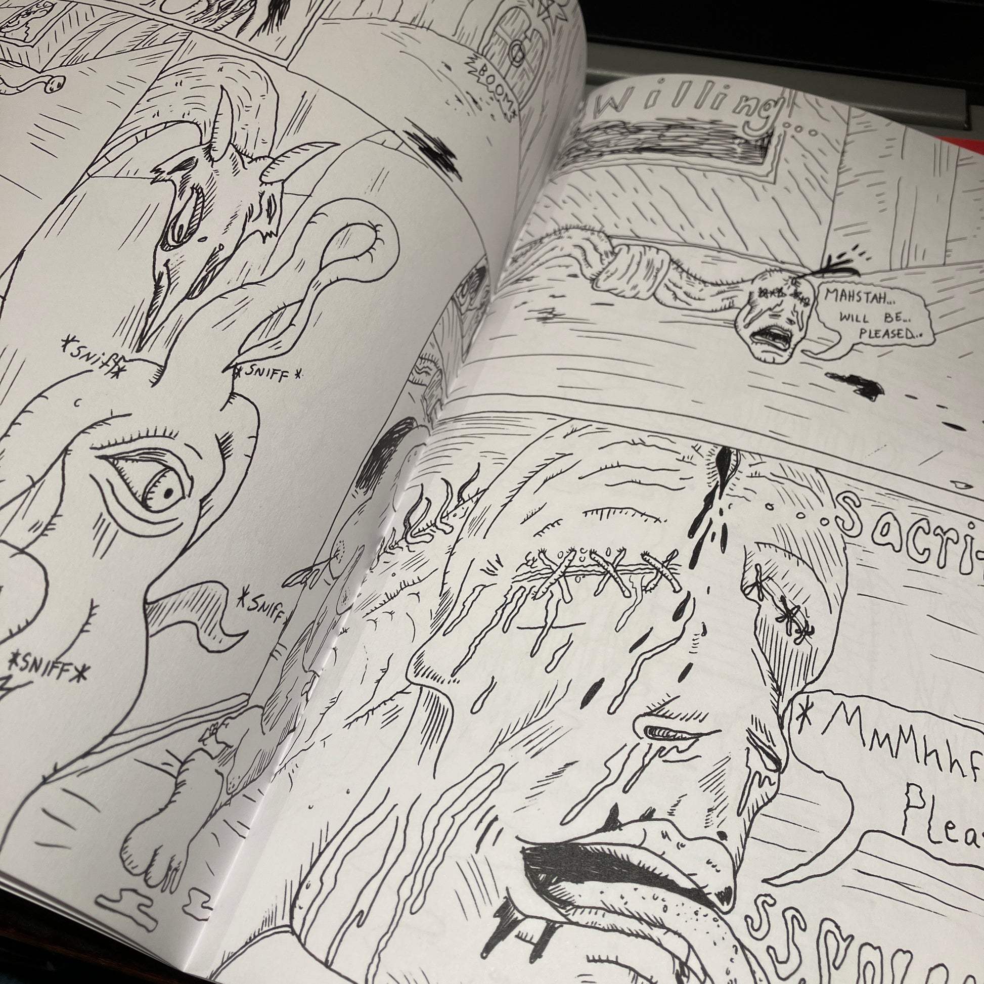 Open book with black and white illustrations of a face and animals.
