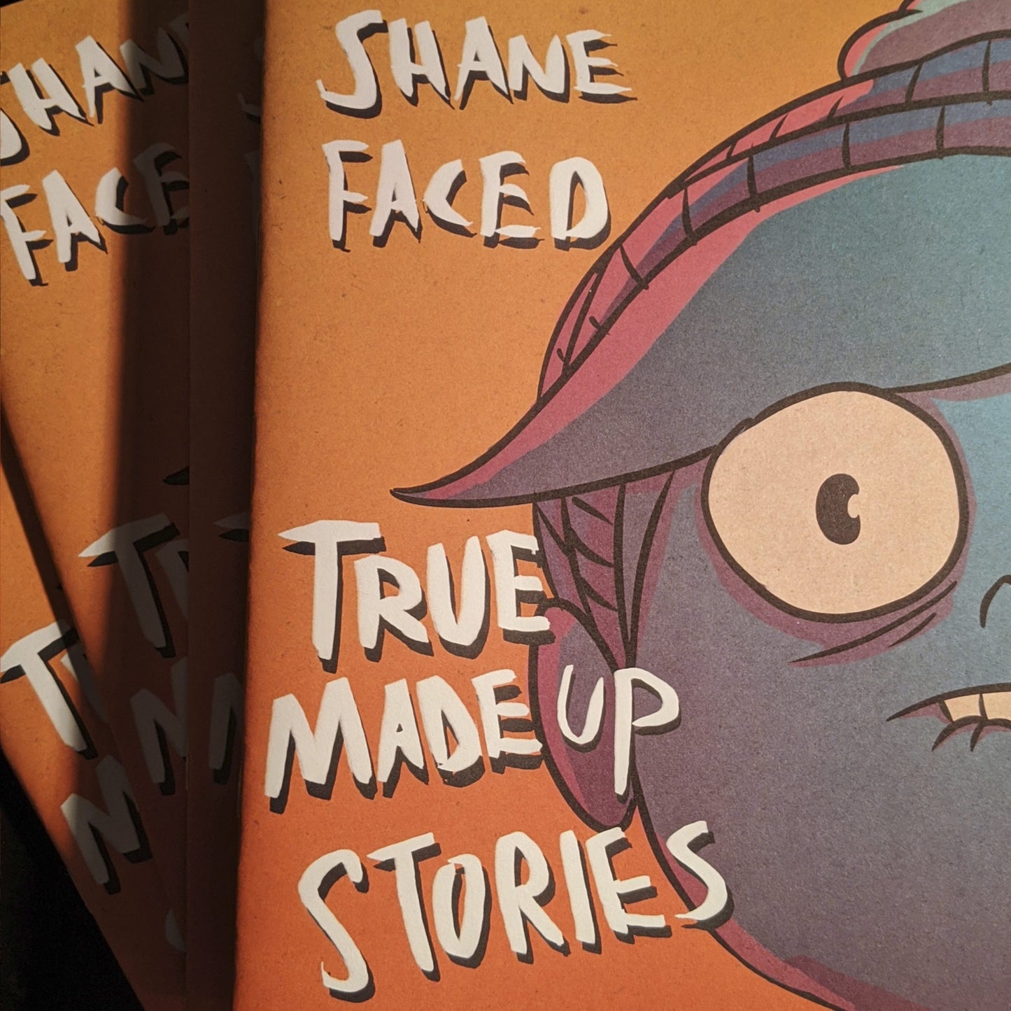 Zine - Shane Faced True Made Up Stories