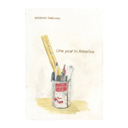 Book - One Year in America
