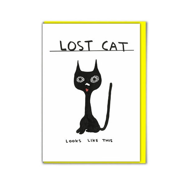 Card - SHRIGLEY024 Lost Cat