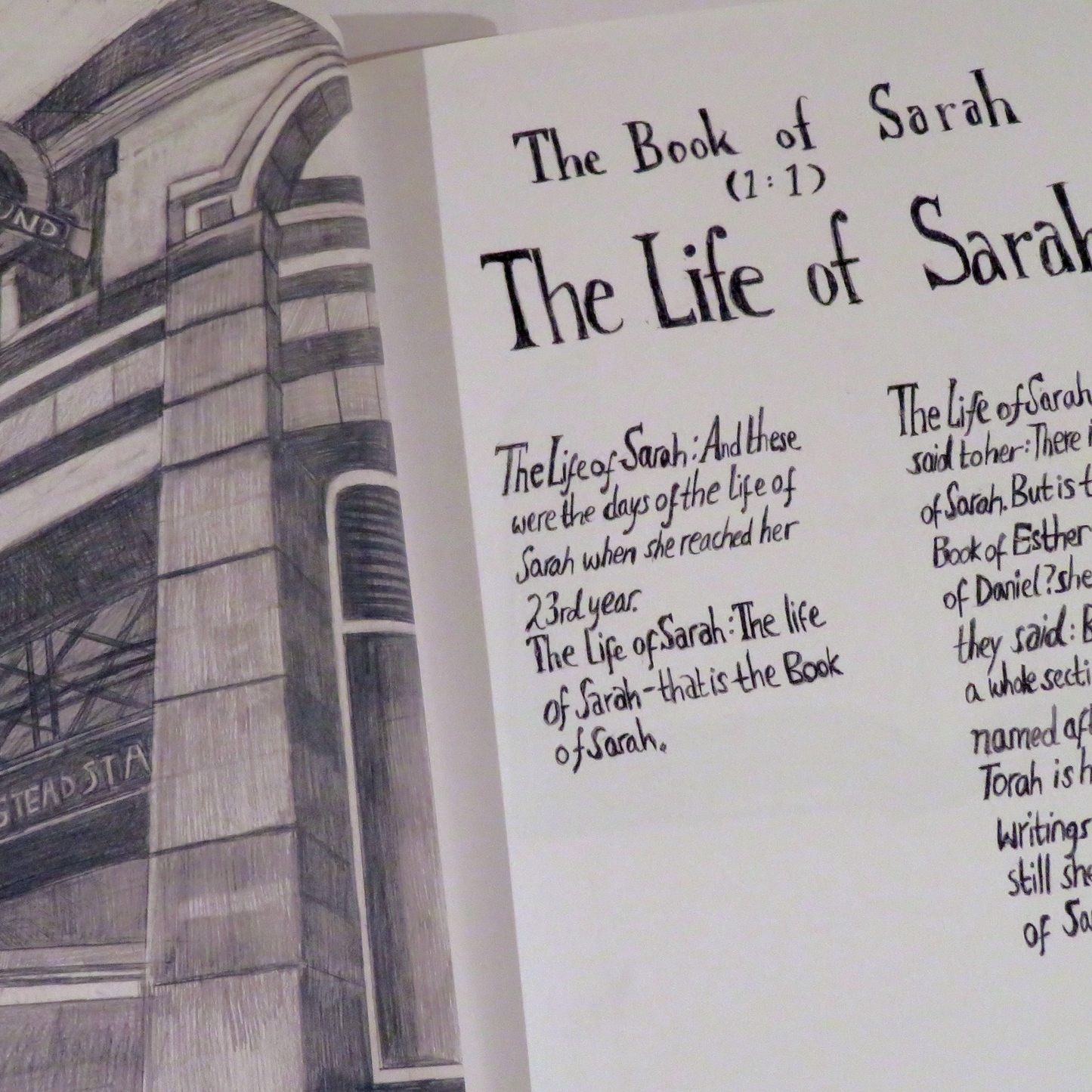 Book - The Book of Sarah