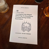 Zine - Investigation Into Gatherings On Government Premises During COVID Restrictions